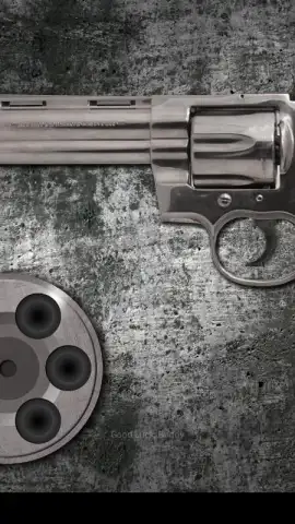Best Russian Roulette скриншот 6