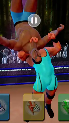 Tag Team Wrestling Games: Mega Cage Ring Fighting скриншот 2