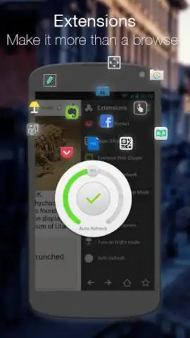 Next Browser скриншот 1