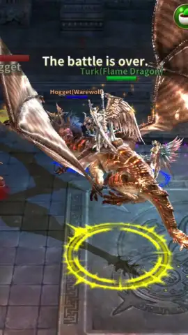 Crazy Dragon скриншот 10