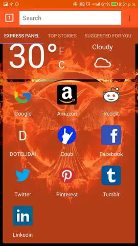 DOTELI BROWSER скриншот 5
