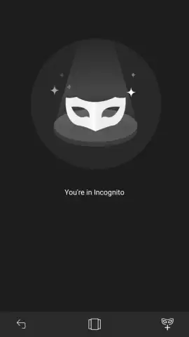Halo Browser скриншот 2