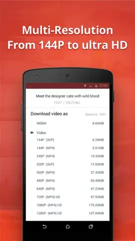InsTube YouTube Downloader скриншот 4