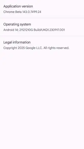 Chrome Beta скриншот 23
