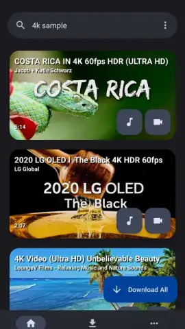 YTDLnis скриншот 1