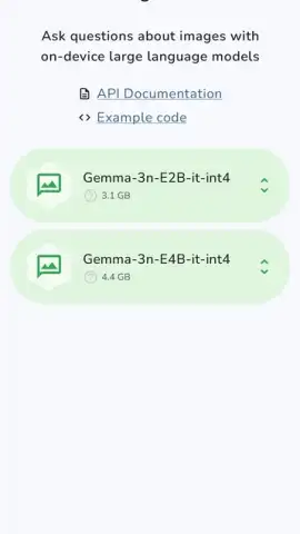 Google AI Edge Gallery скриншот 5