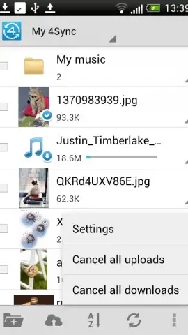 4Sync скриншот 2