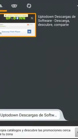 FlashFox - Flash Browser скриншот 1