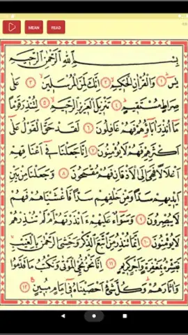 Yasin Suresi скриншот 1