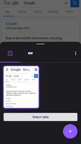 Iceraven Browser скриншот 10