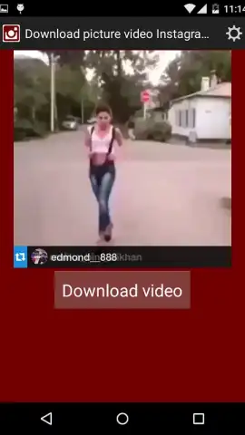 Скачать картинку видео из инстаграм скриншот 4