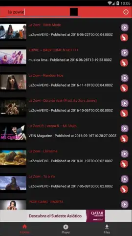 STube Music Downloader скриншот 3
