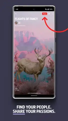 Flipboard скриншот 5