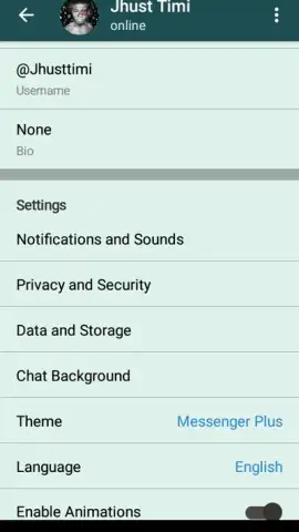 Messenger Plus скриншот 6