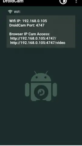 DroidCam скриншот 1