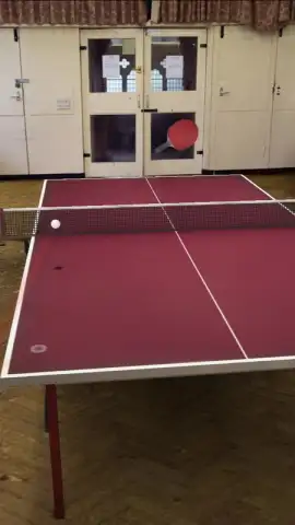 Table Tennis Touch скриншот 3