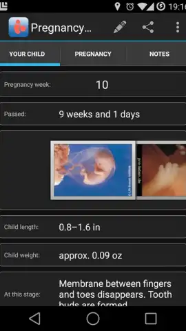 Pregnancy Assistant скриншот 3
