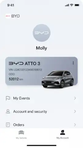 BYD скриншот 1