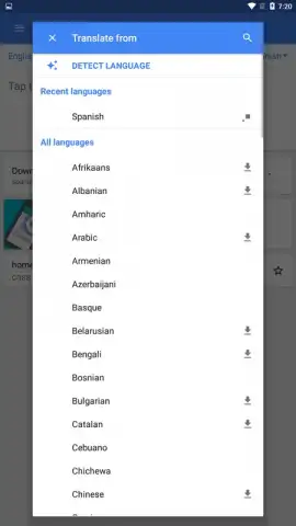 Google Translate скриншот 7