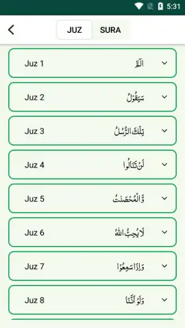 Quran Majeed скриншот 1