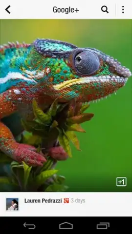 Flipboard скриншот 8