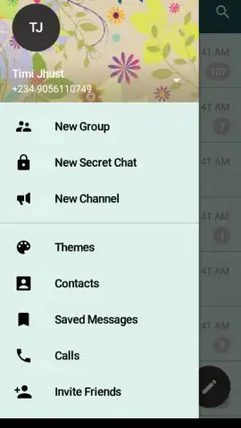 Messenger Plus скриншот 4