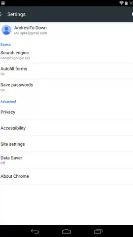 Chrome Dev скриншот 1