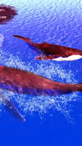 The Humpback Whales скриншот 21