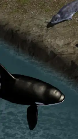 Orca Simulator скриншот 2