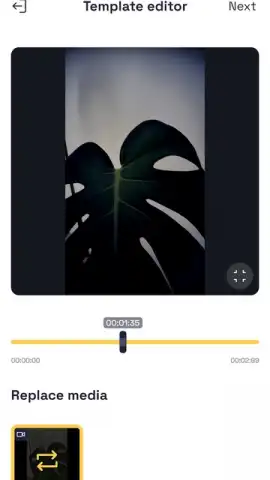 Alight Motion скриншот 8
