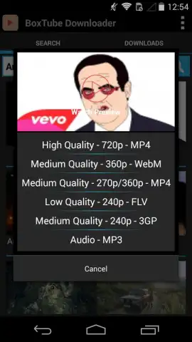 BoxTube Downloader скриншот 3