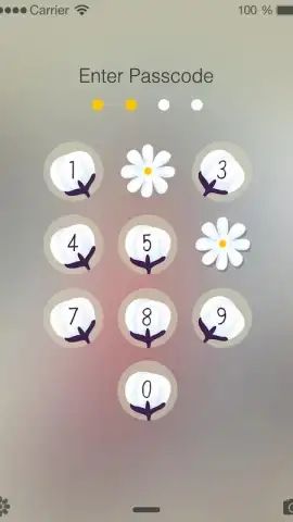 PIP Lock Screen скриншот 23