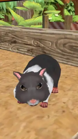 PetHotel - My animal boarding скриншот 3