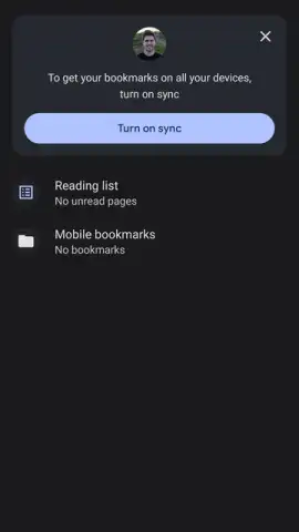 Chrome Beta скриншот 7