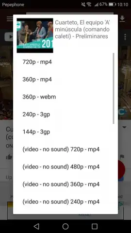 VidCatch скриншот 3