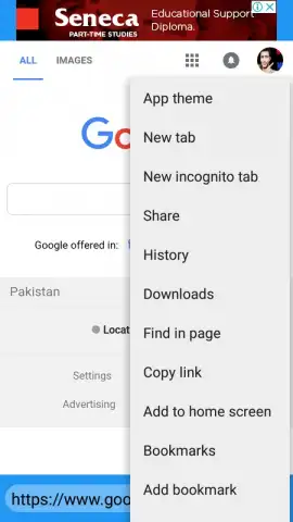 Masti browser скриншот 1
