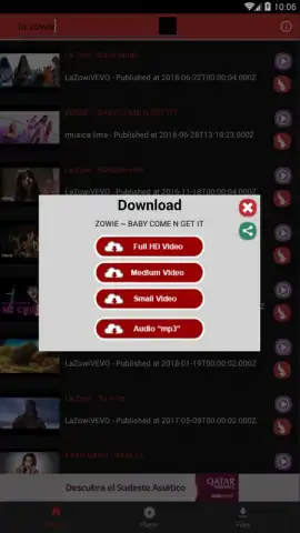 STube Music Downloader скриншот 4