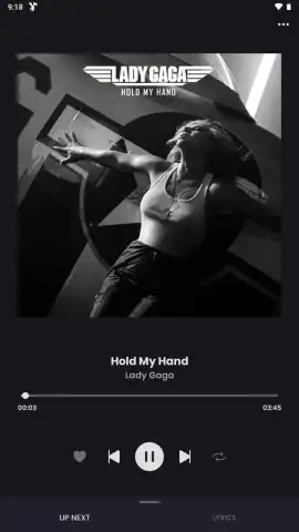 ViMusic скриншот 10