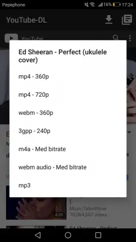 YouTube-DL скриншот 1