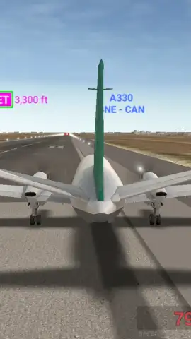 AIRLINE COMMANDER скриншот 9