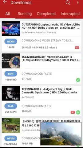 YVideo Downloader скриншот 2