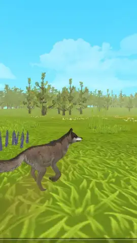 WildCraft скриншот 6
