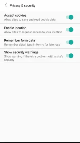 Mini Private Browser: Fast Search, Download, No Ad скриншот 1