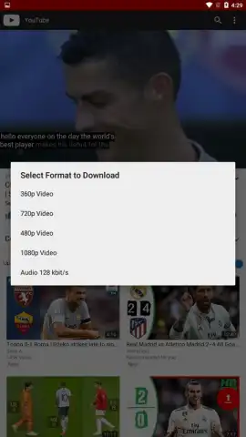 Youtube Downloader- fastest youtube downloader скриншот 9