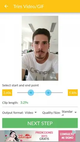 Video and GIF Memes скриншот 5