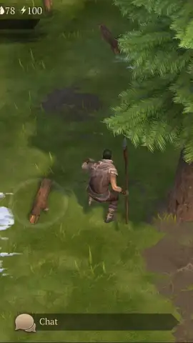 Stormfall: Saga of Survival скриншот 1