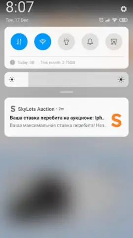 SkyLots: аукцион и маркетплейс скриншот 1