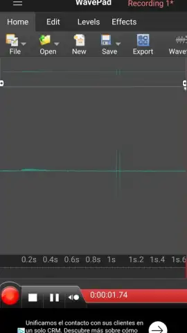 WavePad скриншот 1