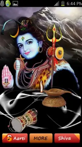 Virtual Shiva Worship скриншот 2