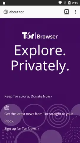 Tor Browser скриншот 18